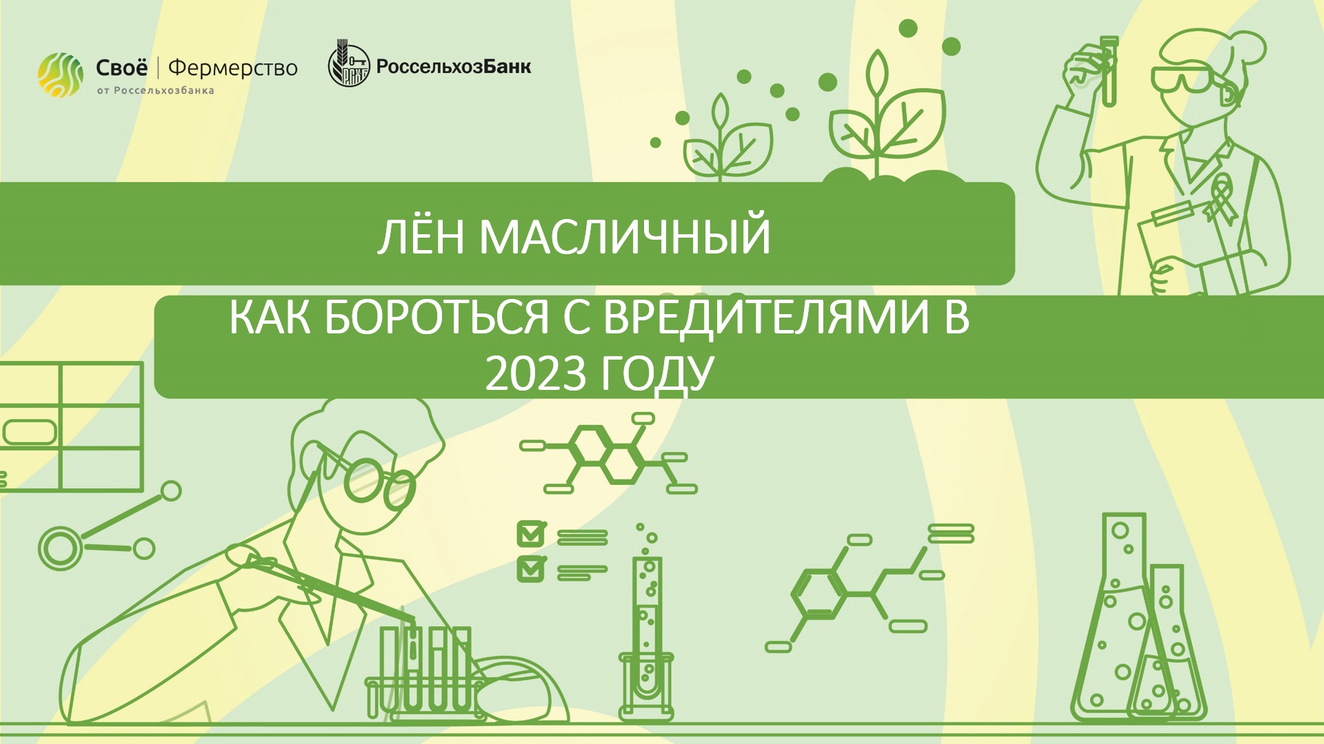 Лён масличный: как бороться с вредителями в 2023 году