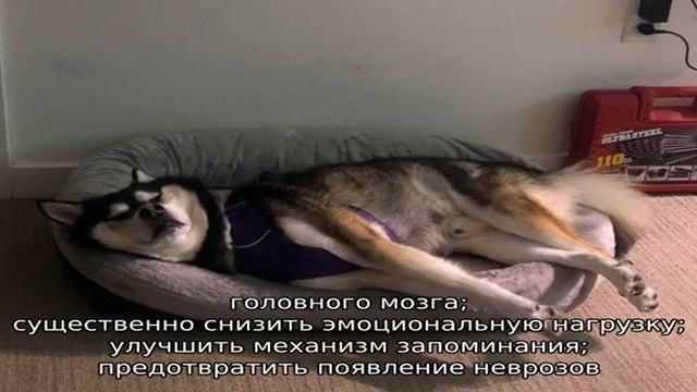 Ребенок 1,5 года плохо спит ночью – что делать