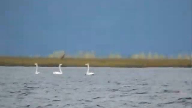 На озере "Арангатуй"... смотреть онлайн