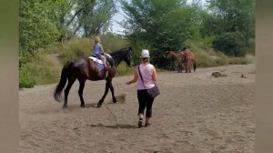 ЛОШАДИ И ДЕТИ/малыши от двух до шести осваивают искусство верховой езды/рысь/ галоп/иппотерапия