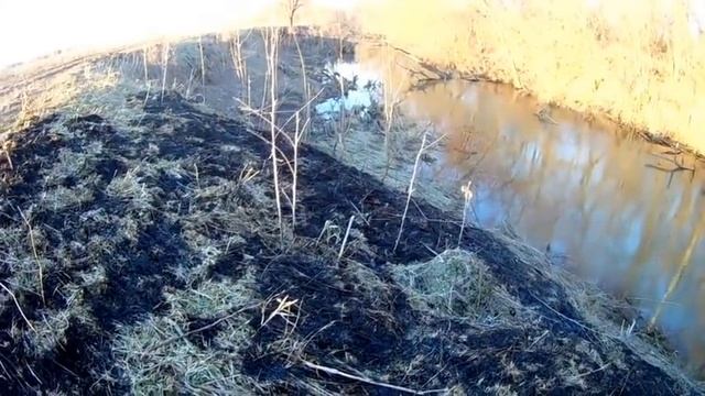 ОХОТА С ПНЕВМАТИЧЕСКОЙ ВИНТОВКОЙ