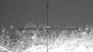 Охота на бобра ночная!Калибр.223 Пульсар Ультра-455 LRF.  13 ноября 2021 г.