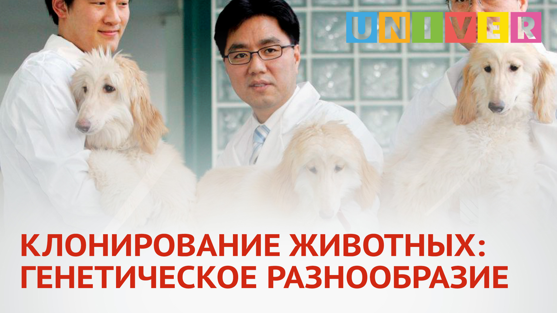 КЛОНИРОВАНИЕ ЖИВОТНЫХ ГЕНЕТИЧЕСКОЕ РАЗНООБРАЗИЕ