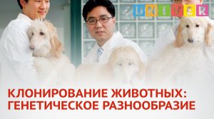 КЛОНИРОВАНИЕ ЖИВОТНЫХ ГЕНЕТИЧЕСКОЕ РАЗНООБРАЗИЕ