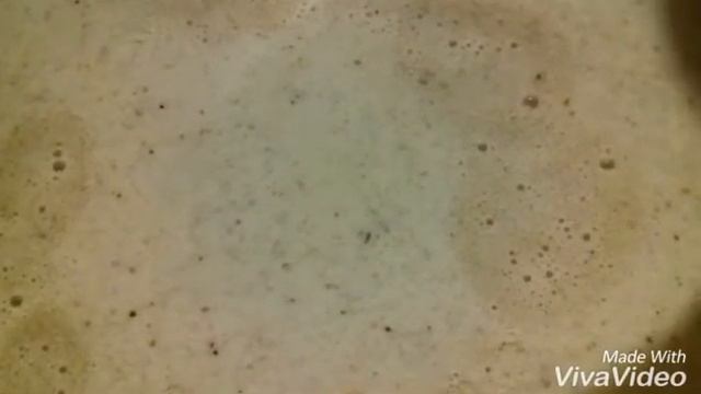 САЦИВИ смотреть онлайн