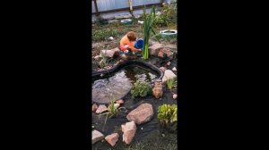 Наш маленький пруд в 2023году. Как создавался пруд.