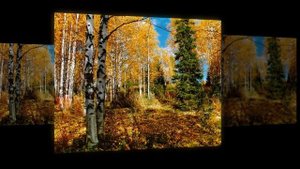 ProShow SlideshowВИА Орера  Отговорила роща золотая