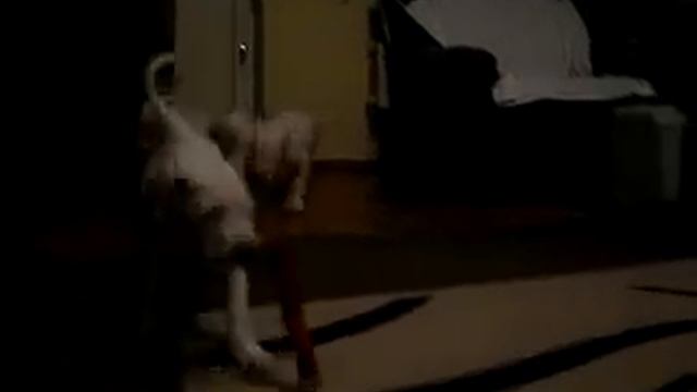 IMGP5423.MOV разминка перед сном смотреть онлайн