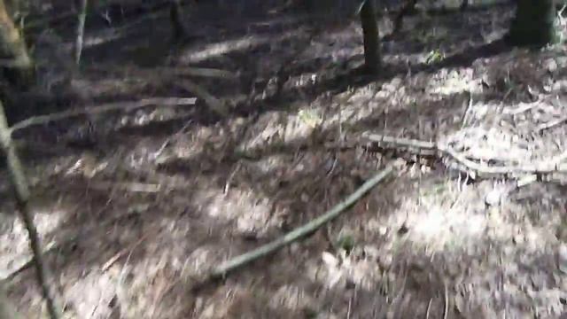 Pentax LS465 Video Test A Walk in The Woods (2016) смотреть онлайн