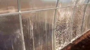 Моим теплицу с хозяйственным мылом