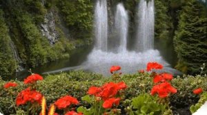 Внучке полтора года.