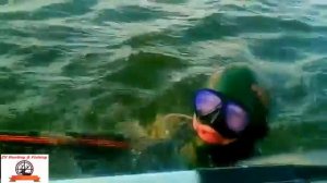 Ловля сома   Сом людоед 1