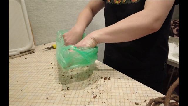 Чай из чаги и лозы лимонника смотреть онлайн