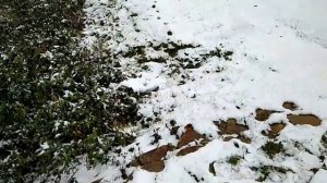 Топас - работа зимой. Куда уходит вода зимой?