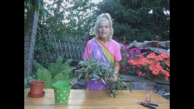 Универсальный укоренитель - своими руками!