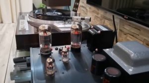 Ламповый интегральный усилитель brave beetle audio класс А