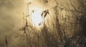 Зимняя Мелодия (2020)