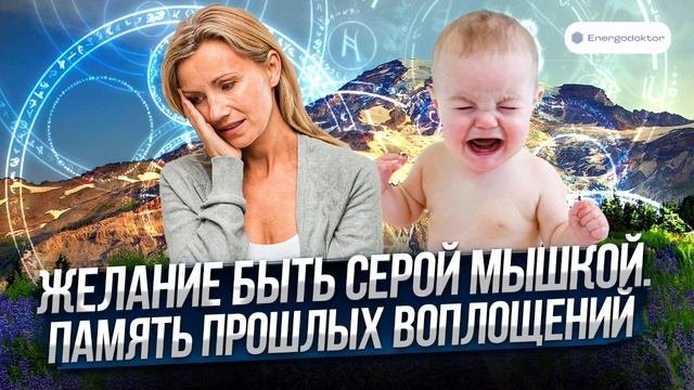 Сеанс: Желание быть серой мышкой. Память прошлых воплощений