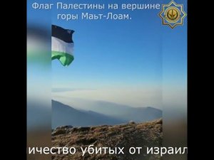 Из-за событий в Палестине в Ингушетии отменили развлекательные мероприятия ко Дню народного единства