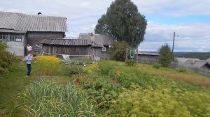 Деревня Дудино, Архангельская область, Устьяновский район.