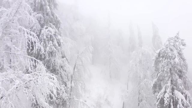 Сказ Велеса о том, как знания получать из источника Вселенского… смотреть онлайн