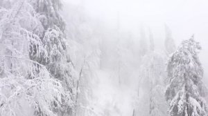 Сказ Велеса о том, как знания получать из источника Вселенского…