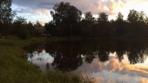 Выпускаем выращенных у себя карасей в пруд в Голявино