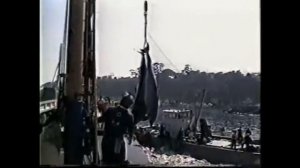 Убийство китов и дельфинов! Когда люди прозреют?