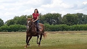 Тренировка в поле без шлема ? / галоп SLOW MO / катаю сестру на лошади первый раз в жизни