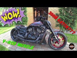 Гараж...Softail Deluxe и V-Rod Muscle...Июль.