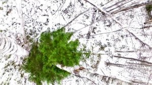 Экспедиция к истоку реки Алатырь. Часть 2