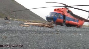 Овцебыки на острове Завьялова