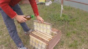 Правильная установка панского сота.