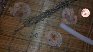 ПОЛЫНЬ В МАГИИ