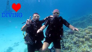 Ali Baba Palace ➤ Хургада ➤ Дайвинг в Египте ➤ Отдых с Ильичом