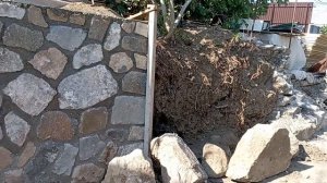 камень, стена, дикий