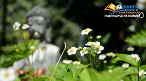 Нисаргадатта Махарадж Аудиокнига «Прямые указатели на Реальность». Полное Собрание Лекций и Сатсанг