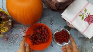 Напиток из рябины красной и ее полезные свойства