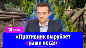 Зампред ДНР Владимир Ёжиков: «Противник вырубает наши леса»