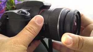 Sony A37