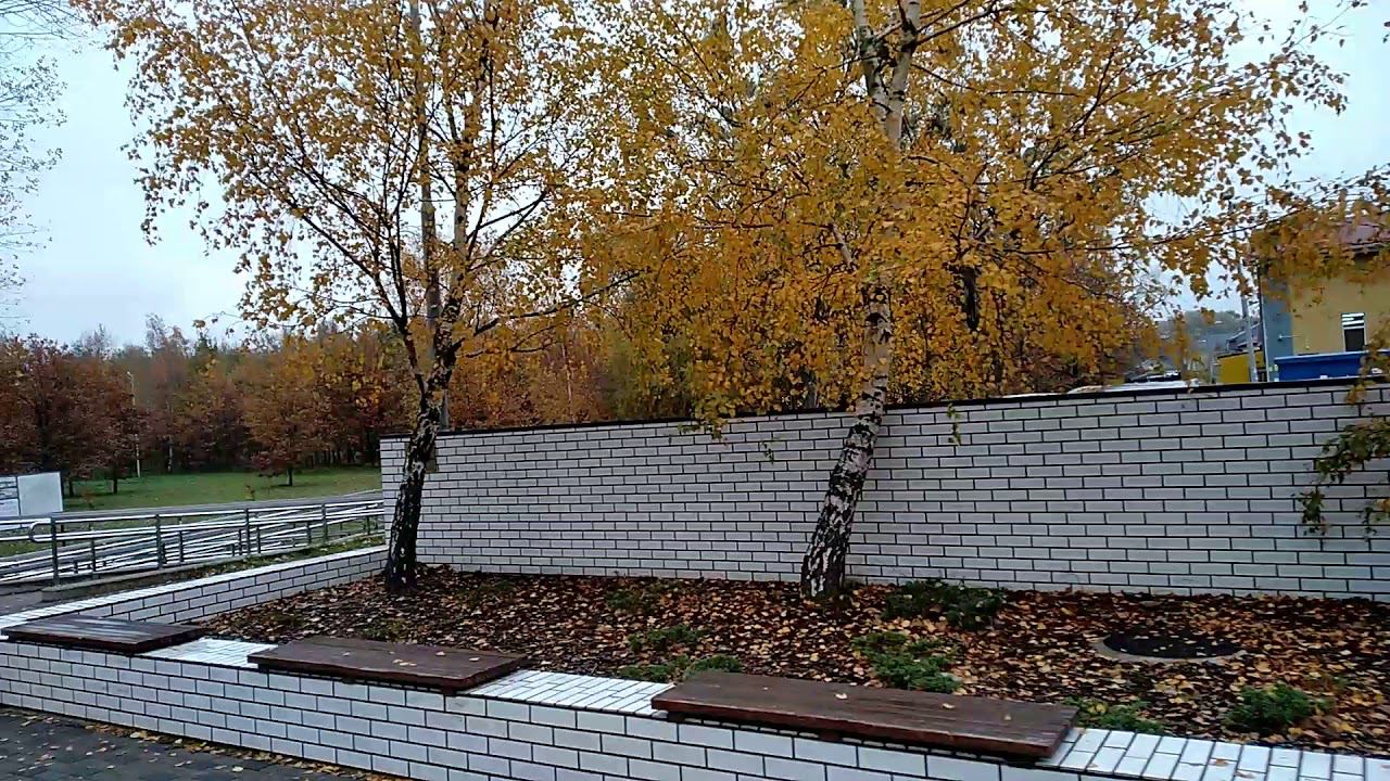 Парк им. Макса Ашмана Калининград смотреть онлайн