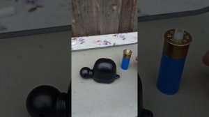 Охота на косулю.