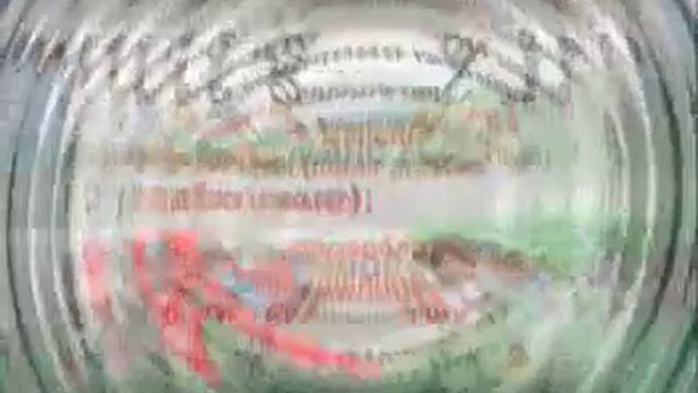 Действие населения в чрезвычайных ситуациях смотреть онлайн