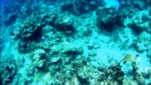 Активный отдых на Кубе. Варадеро. Follow me - Cuba. (18+) смотреть онлайн