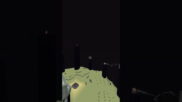 I transformed the End dimension in Minecraft Hardcore