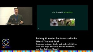 Probing ML models for fairness with the What-if Tool and SHAP