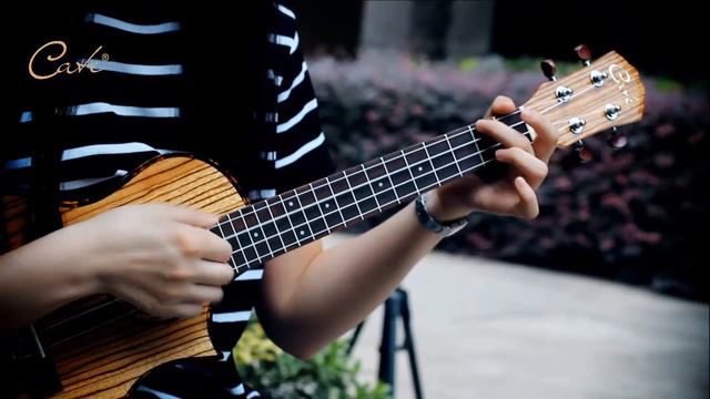 Cate ukulele QM-762U 26 inch cutaway zebra ukulele testing video in China смотреть онлайн