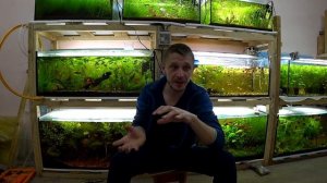 10 правил для 100% разведения рыбок