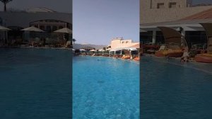 Риф Оазис Блю бей панорамный вид с бассейна
