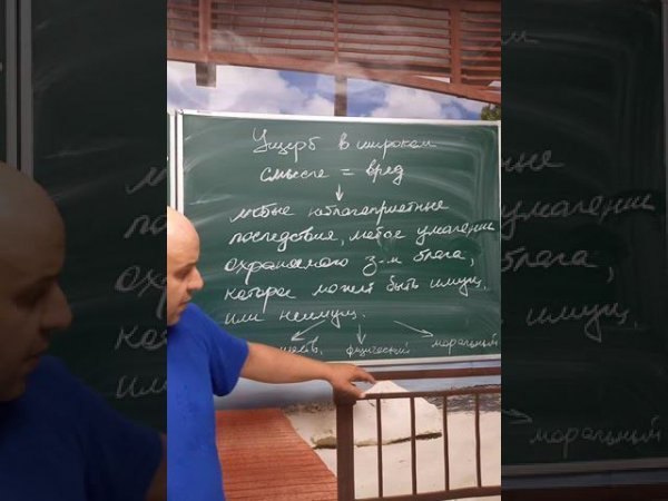 Определения. Ущерб в широком смысле = вред